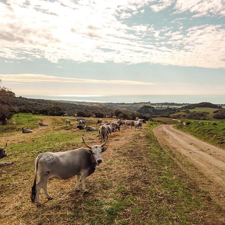 Agriturismo Morani Santa Severa Zewnętrze zdjęcie