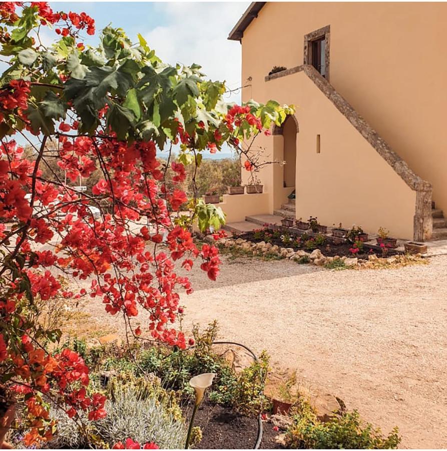 Agriturismo Morani Santa Severa Zewnętrze zdjęcie